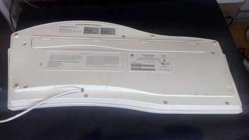 Microsoft Natural Keyboard and ball Mouse