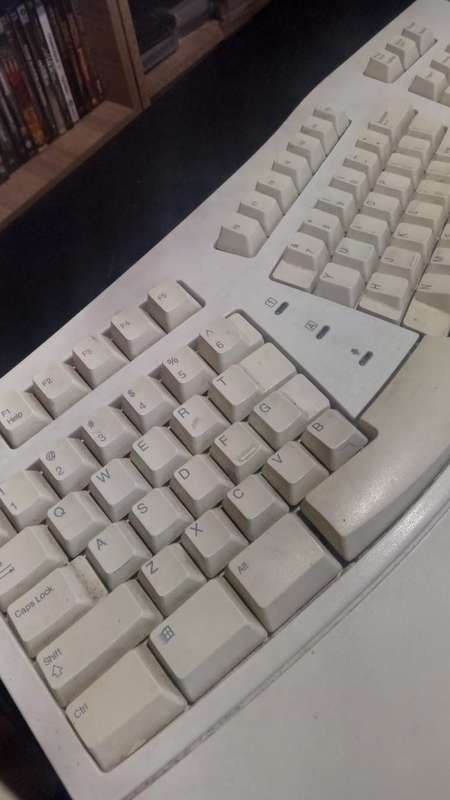 Microsoft Natural Keyboard and ball Mouse