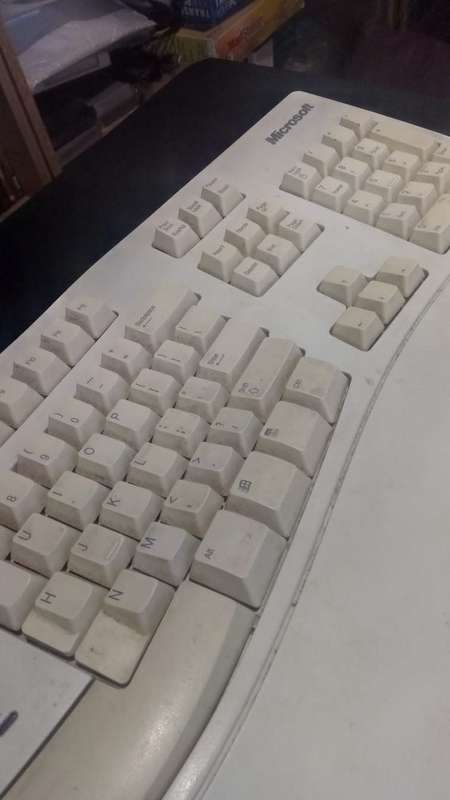 Microsoft Natural Keyboard and ball Mouse