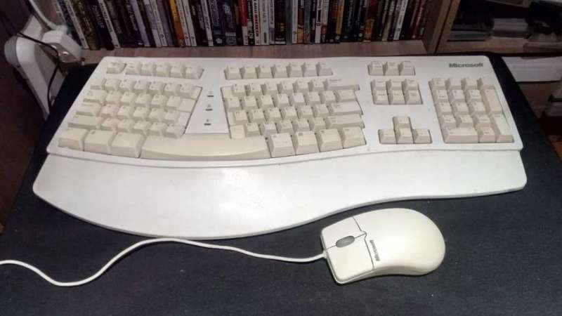 Microsoft Natural Keyboard and ball Mouse