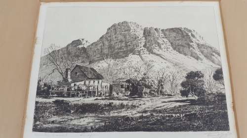 Original Tinus de Jongh Etching. Kirstenbosch, Cape Town.