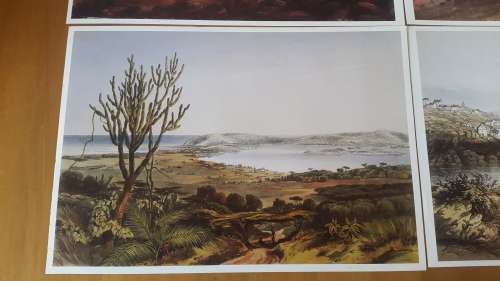 4 Thomas Baines prints of KNYSNA AND 3 Eastern Cape towns including Port Elizabeth.