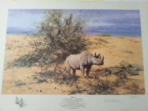 David Shepherd Signed Numbered Limted Edition Print. Rhino "Shibula".715/850