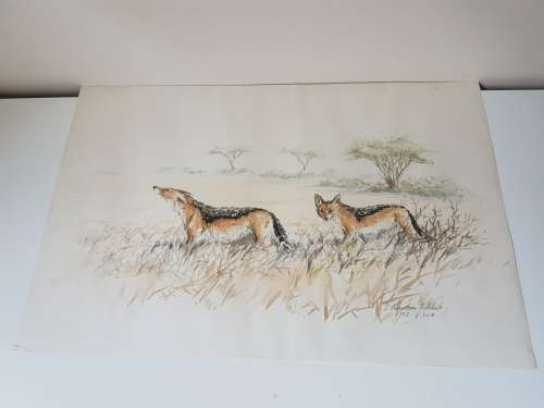 C.K. Goldbeck, Namibian Artist. Original Watercolour. Two jackals, South West Africa, 1982.