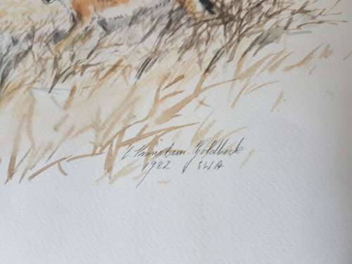 C.K. Goldbeck, Namibian Artist. Original Watercolour. Two jackals, South West Africa, 1982.