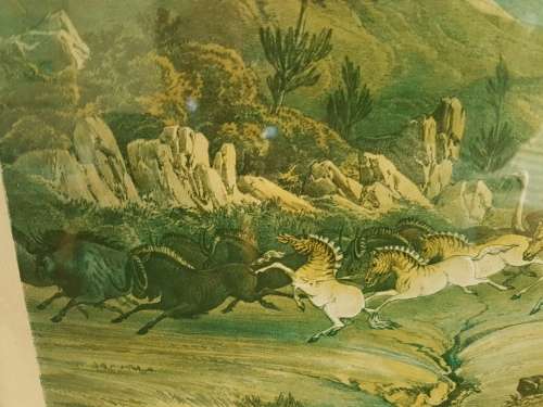Thomas Baines. Bushmen hunting a herd of heterogenous game. LARGE PRINT, FRAMED.