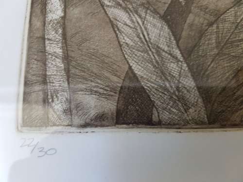 Michelle d'Argent. Limited edition etching: 22/30. Animal Parade  I. Framed.