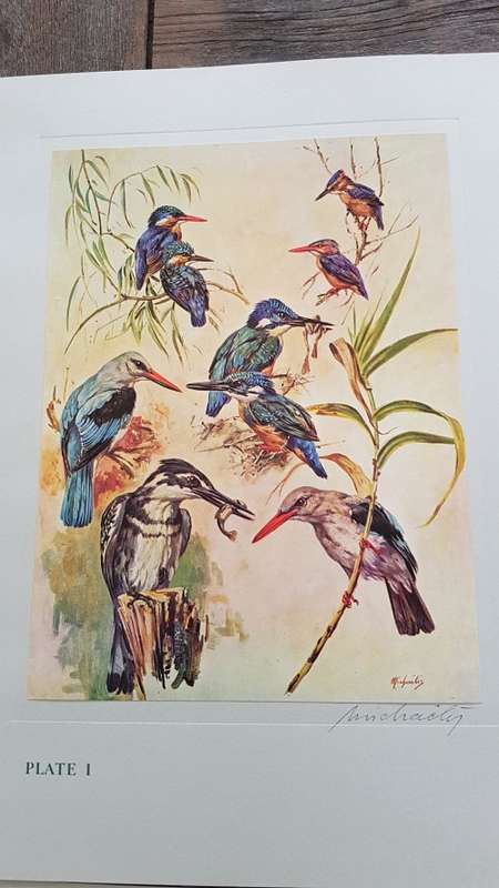 Our Birds. Second Series. First Printing. 8 Colour Plates SIGNED BY HEINIIE VON MICHAELIS.