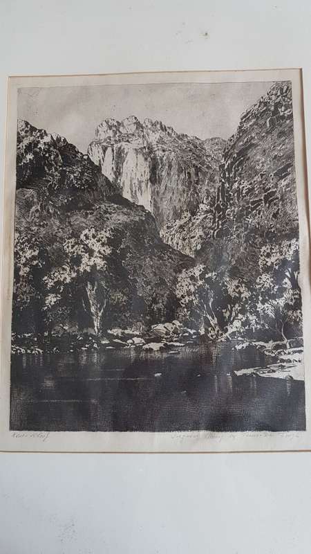 VARNISHED WOODEN FRAME. Tinus de Jongh. Etching of Keurkloof. Beautiful dark imprint.