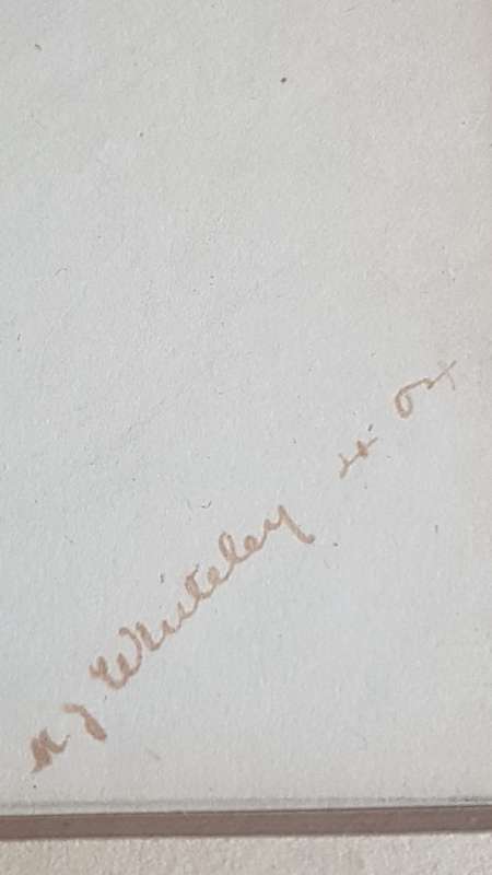 Original 1904 Pencil Drawing of Edwardian Lady signed M.J. Whiteley, dated April 1904.