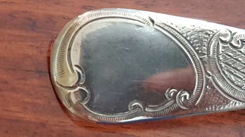 Large Solid Silver Georgian Berry Spoon. Solomon Royes and John East Dix. 1819. 51.3 grammes.
