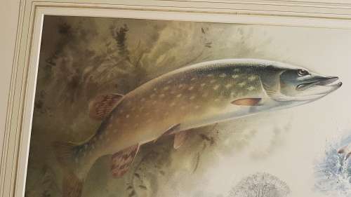 Rodger McPhail (1953-).  Pike Fishing. Large Original Watercolour. TOP WILDLIFE SPORTING  ARTIST.