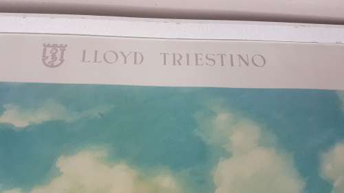 ORIGINAL  Mid-Century Cruise Liner Ship Poster. Lloyd Triestino.  Italia-Sud Africa. WITH MASCOT!