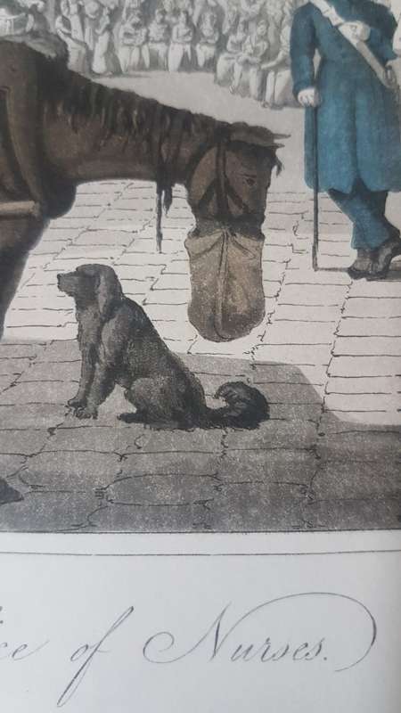 Original Colour Aquatint. Office of Nurses from `A Tour Through Paris`, 1822.  by William Sams