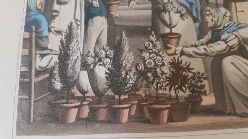 Original Colour Aquatint. The Flower Market  from `A Tour Through Paris`, 1822.  by William Sams