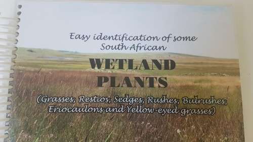 Easy identification of some South African Wetland Plants (Grasses, Restios, Sedges, Rushes, etc,)