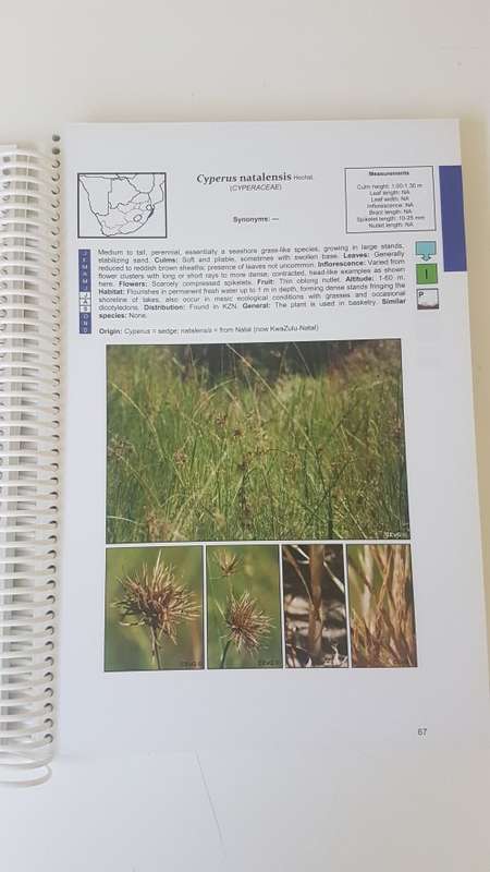 Easy identification of some South African Wetland Plants (Grasses, Restios, Sedges, Rushes, etc,)