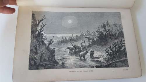 Original 1881 2 Volume Set: Holub. Seven Years in South Africa.