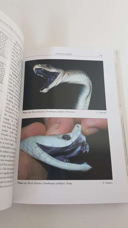 The Snakes of Zimbabwe and Botswana.By Broadley, Donald and Roger Blaylock. RARE BOOK.