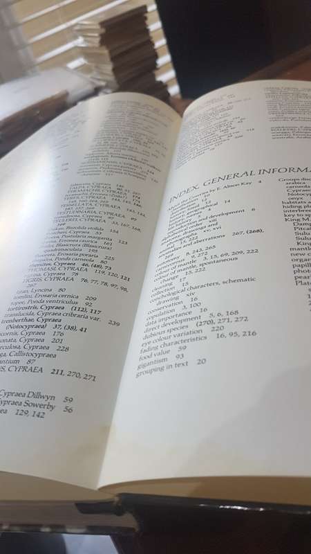 Burgess` Cowries of the World. Thorough Book, published in Cape Town by Gordon Verhoef. 1985 1st. Ed
