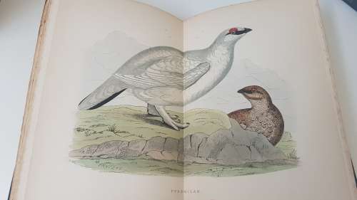 British Game Birds and Wildfowl. Complete 2 Volume Set. 1895! Sixty hand coloured plates!!