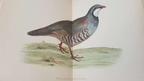 British Game Birds and Wildfowl. Complete 2 Volume Set. 1895! Sixty hand coloured plates!!