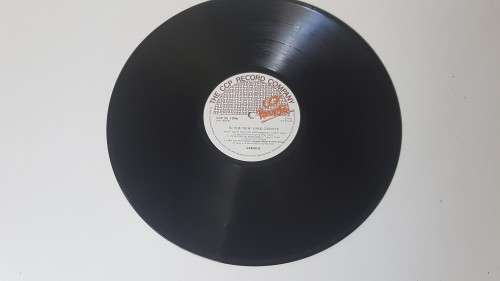 Rare South Africa Issue LP . In the New York Groove. Disco Hits by Original Artists. CCP label 1046