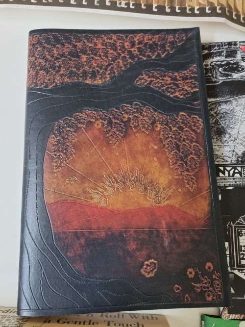 Neil Young Archives 9 DVDS ( out of 10 ), book, poster, box.