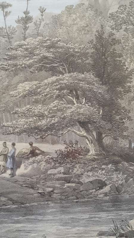 Thomas Bowler Original 1864 Victorian Engraving. Blinkwater Hill.
