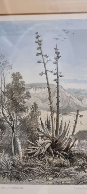 Thomas Bowler . Burns Hill Missionary Station. 1864  ORIGINAL  Victorian COLOUR Stone Lithograph.