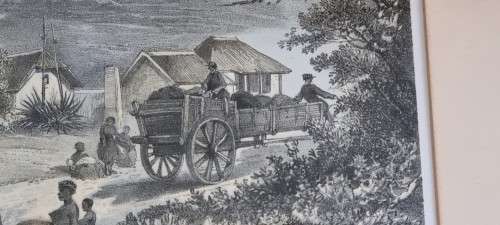 Thomas Bowler . Burns Hill Missionary Station. 1864  ORIGINAL  Victorian COLOUR Stone Lithograph.
