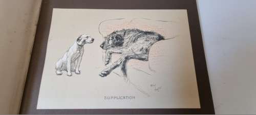 Sleeping Partners. A Series of Episodes. Aldin, Cecil. RARE 1929 First Edition. Cute Dog Art, famous