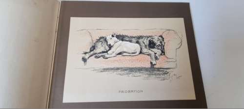 Sleeping Partners. A Series of Episodes. Aldin, Cecil. RARE 1929 First Edition. Cute Dog Art, famous