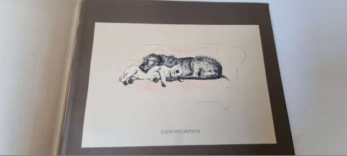 Sleeping Partners. A Series of Episodes. Aldin, Cecil. RARE 1929 First Edition. Cute Dog Art, famous