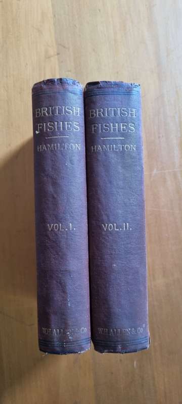 1850 History of British Fishes, Two Volume Set. by Hamilton, Robert. 68 HAND COLOURED PLATES!