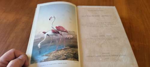Explorations in South-West Africa by Thomas Baines 1864 First Edition!