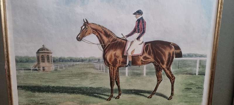 St. Patrick, Winner of the Great St. Leger  1820. HERRING, John Frederick. Racing Horse Aquatint !