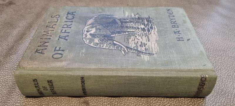 Animals of Africa Bryden, H.A. Illustrated by E. Caldwell. 1909 Edition!