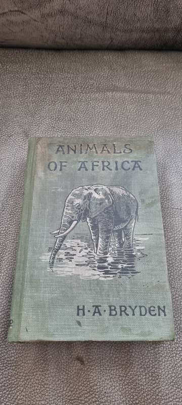 Animals of Africa Bryden, H.A. Illustrated by E. Caldwell. 1909 Edition!
