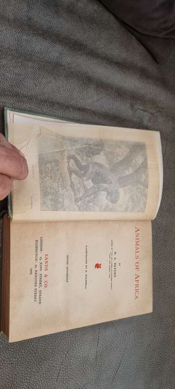 Animals of Africa Bryden, H.A. Illustrated by E. Caldwell. 1909 Edition!