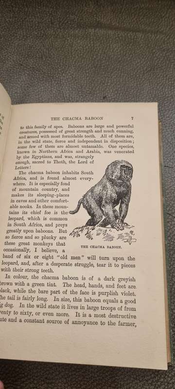 Animals of Africa Bryden, H.A. Illustrated by E. Caldwell. 1909 Edition!