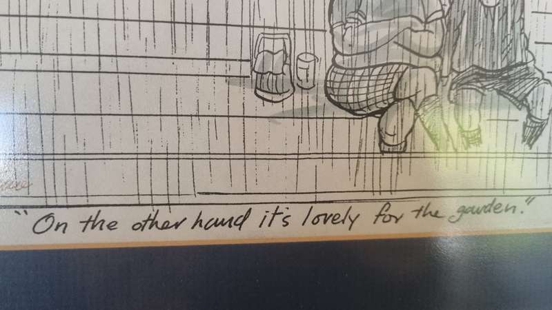 Tony Grogan. Cape Times Rugby Newlands cartoon with hand inscription and signature.