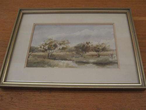 Enslin Vorster (1934-)  Kruger Park / Krugerwildtuin . Signed Original Watercolour, framed.
