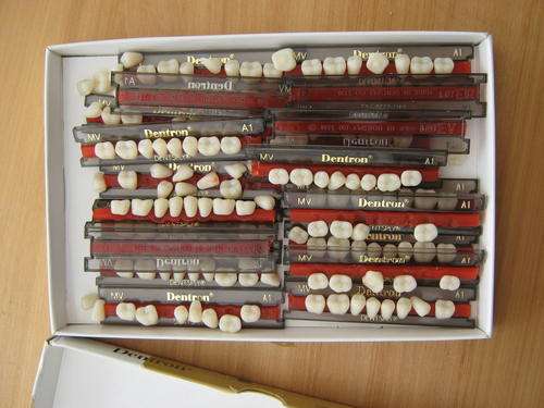 Huge Quantity NEW Plastic Teeth  Dental Supplies! Only R20 postage!