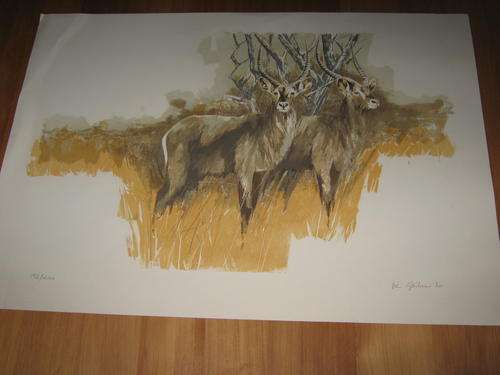 Waterbuck  by Vic Guhrs - top African wildlife artist. Limited hand signed  numbered lithograph
