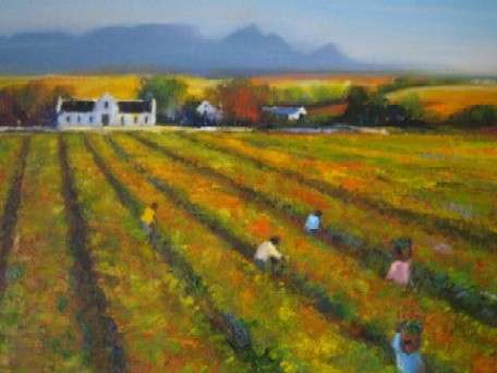 REDUCED: Stellenbosch Vineyards. Original  2007 oil in NEW condition  new frame. Anthony Walton.