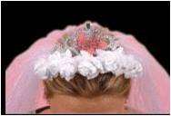 Hens Night - Bride to Be Flashing Tiarra with veil and roses