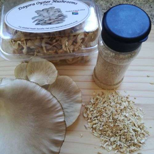 Hobby Oyster Mushrooms Training Kit