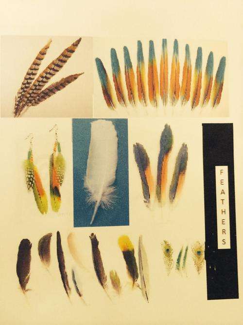 Box of feathers