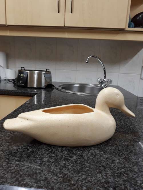 ###Medium ceramic duck planter###